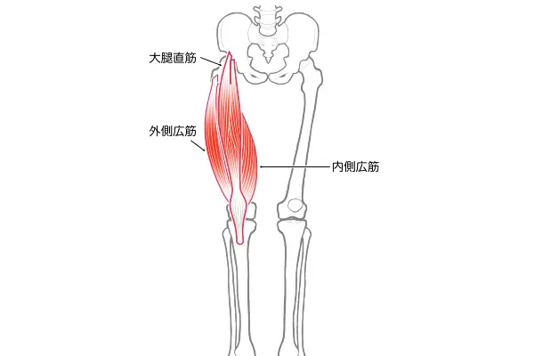 大腿直筋を痛める原因と対処方法、ストレッチ・鍛え方・セルフマッサージ方法とは？