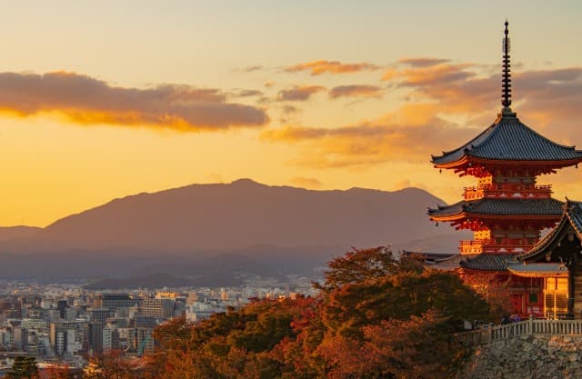 京都のおすすめアロマテラピースクールとは？